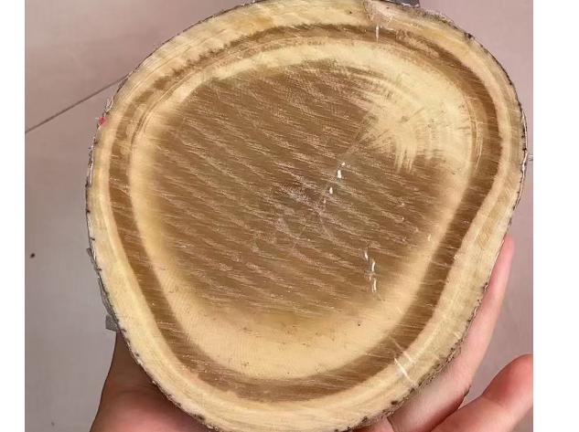 猛犸象牙真假辨别,您需要知道的知识插图2 猛犸象牙真假辨别,您需要知道的知识