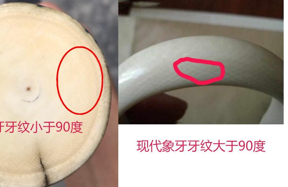 象牙和猛犸象牙区别，收藏新手必读