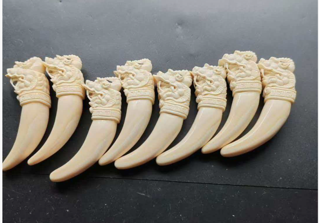 猛犸象牙是化石还是牙？一篇文章讲清楚猛犸象牙的真正来源