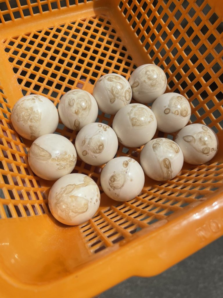 猛犸象牙手串:材质来源、价值特点与收藏佩戴解析