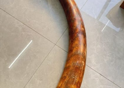 猛犸象牙批发货源怎么找？工厂直供和中间商的差别解析